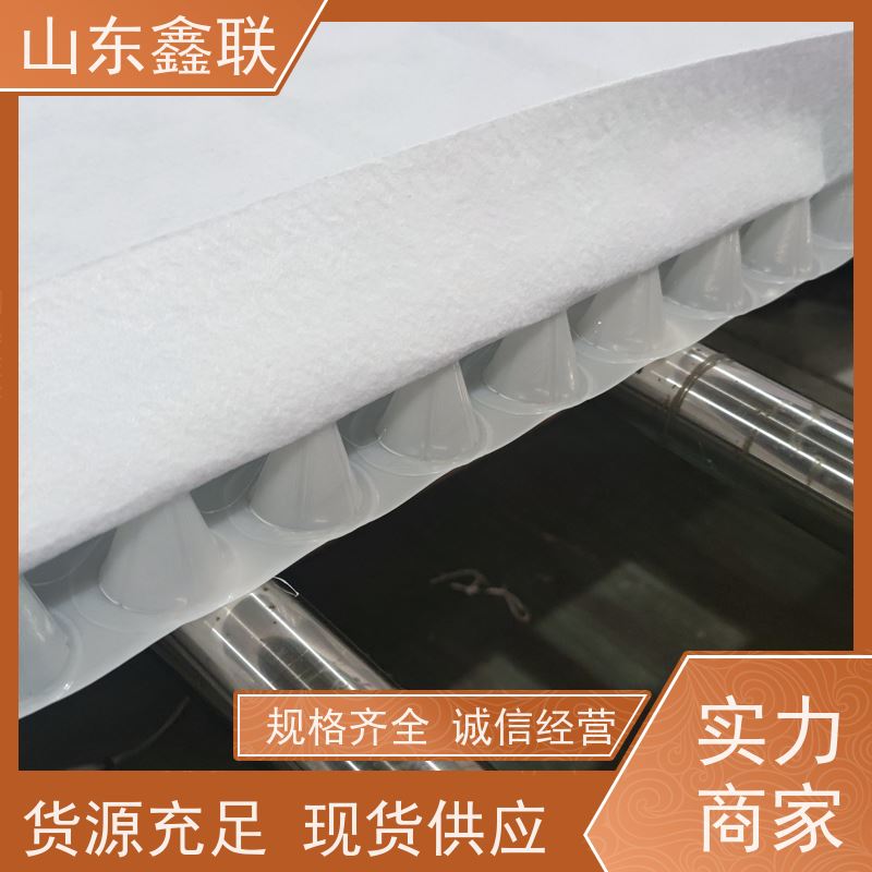 鑫联新材料 车库虹吸系统 国检认证品质 复合高分子防护排水异形片
