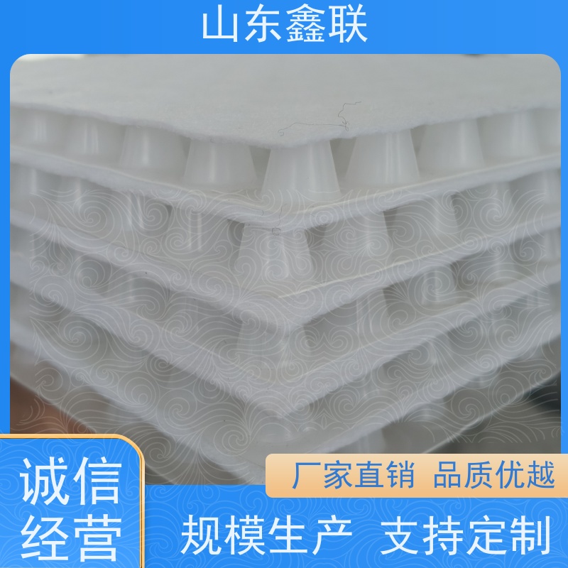 鑫联新材料 虹吸雨水排放系统 百亩面积厂商 H25双面抗压排水异形片