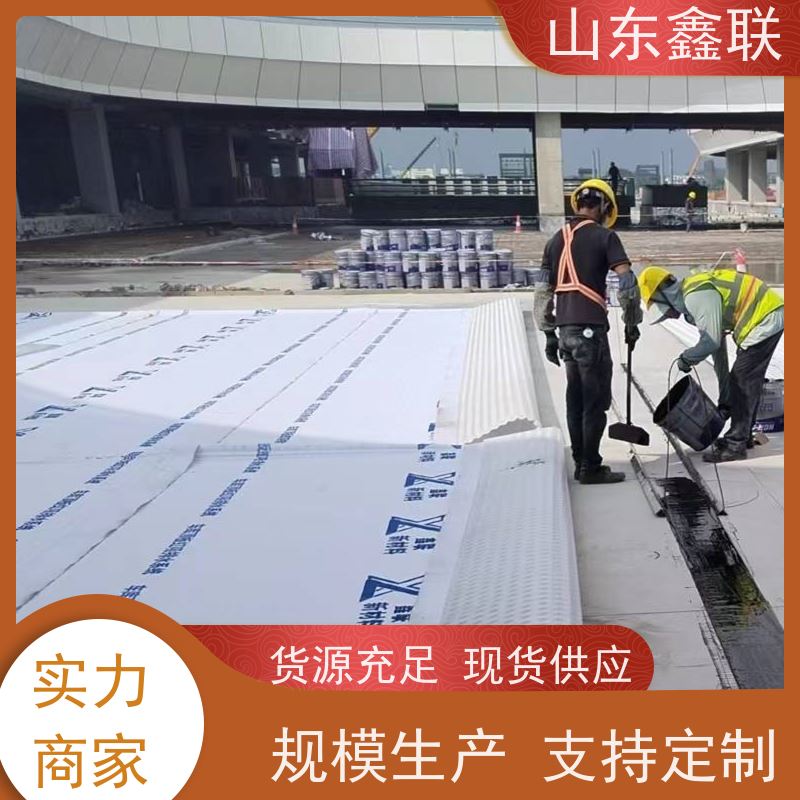鑫联新材料 车库虹吸系统 厂家施工指导 20高分子异型片材