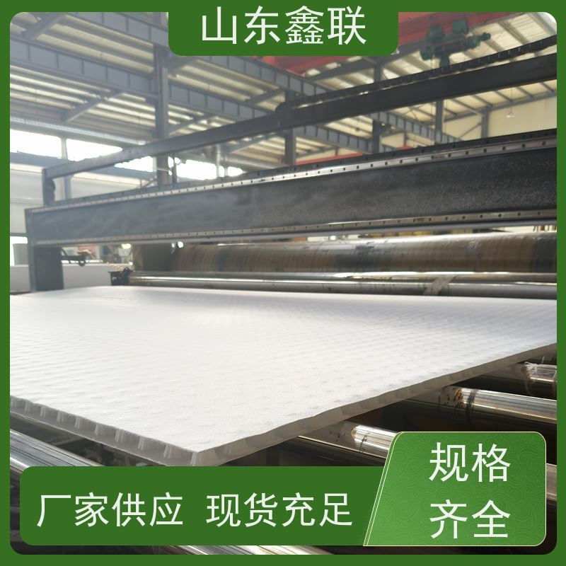 鑫联新材料 车库虹吸系统 中国绿色建材 H25双面抗压排水异形片