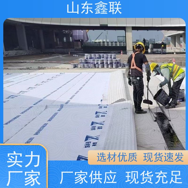 鑫联新材料 防护虹吸排水系统 中国绿色建材 15高板布一体疏水板