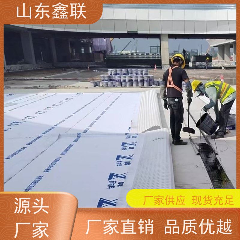鑫联新材料 防护虹吸排水系统 屋顶花园绿化 H30双面排蓄水异形片