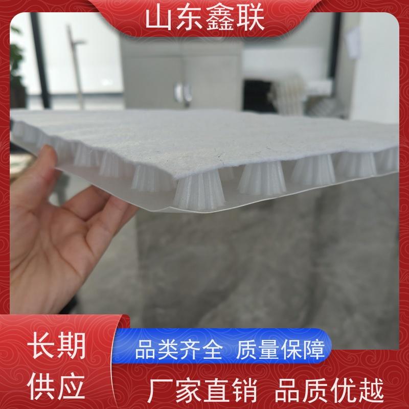 鑫联新材料 虹吸雨水排放系统 科研创新 20高分子异型片材