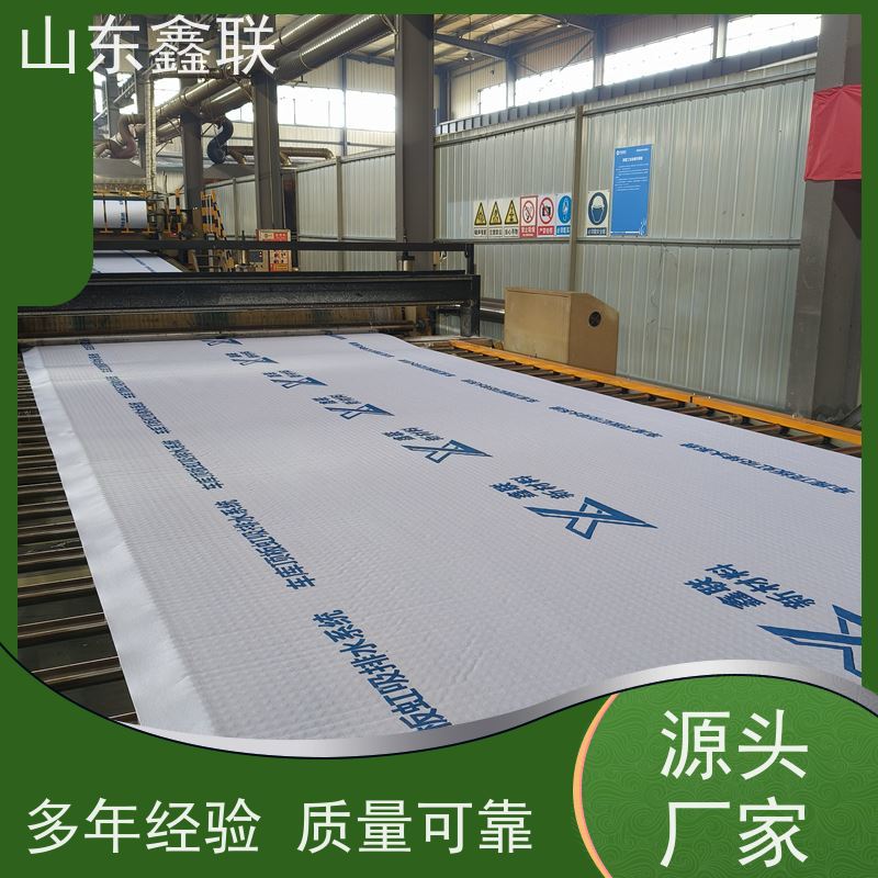鑫联新材料 防护虹吸排水收集系统 车库顶板专用 20高分子异型片材