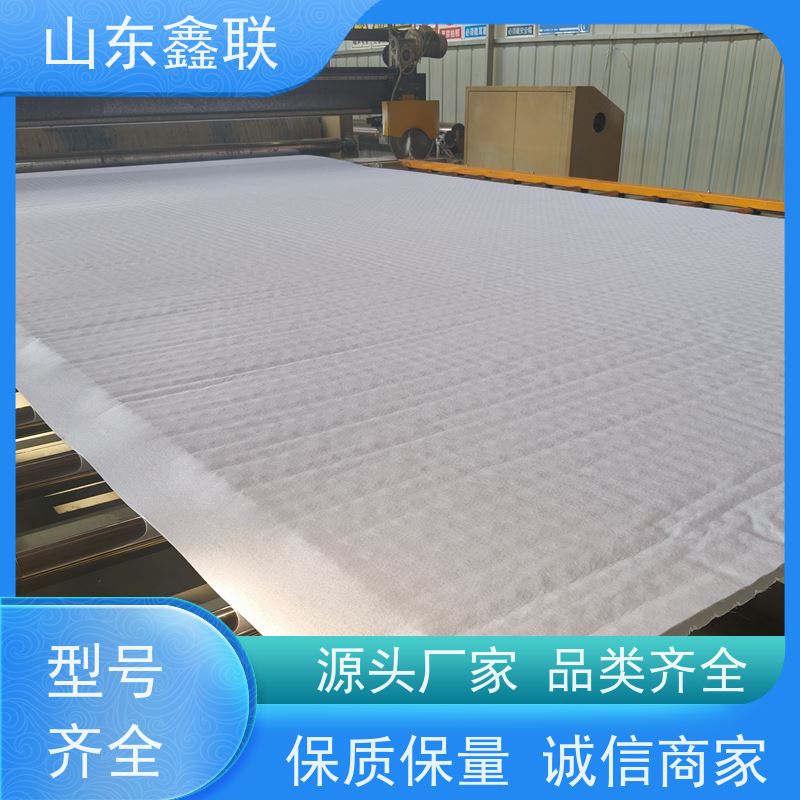 鑫联新材料 防护虹吸排水系统 严选自营 H30双面排蓄水异形片