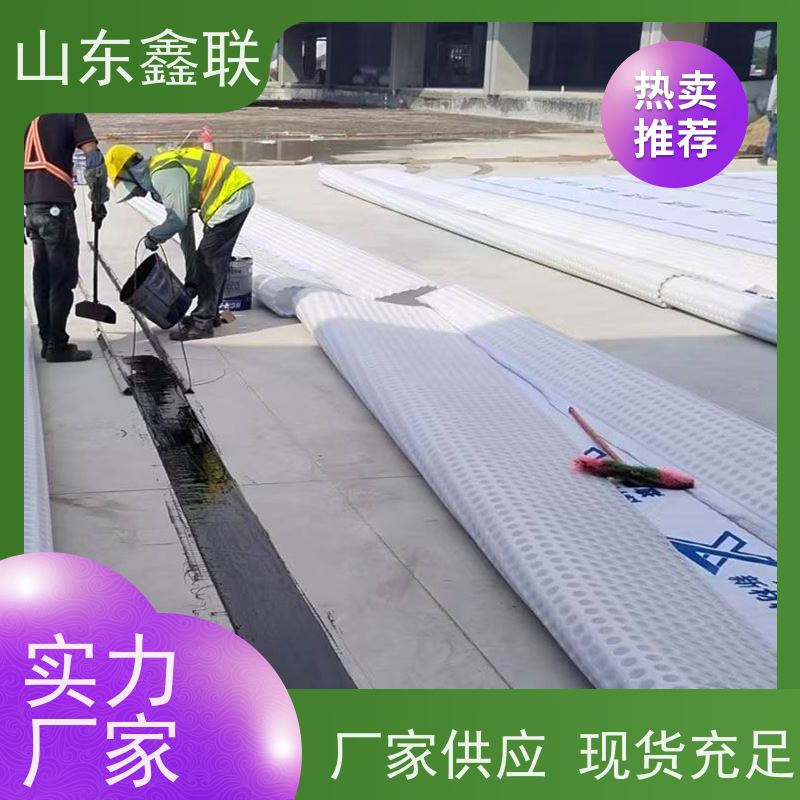 鑫联新材料 车库虹吸系统 大厂实力批发 复合高分子防护排水异形片