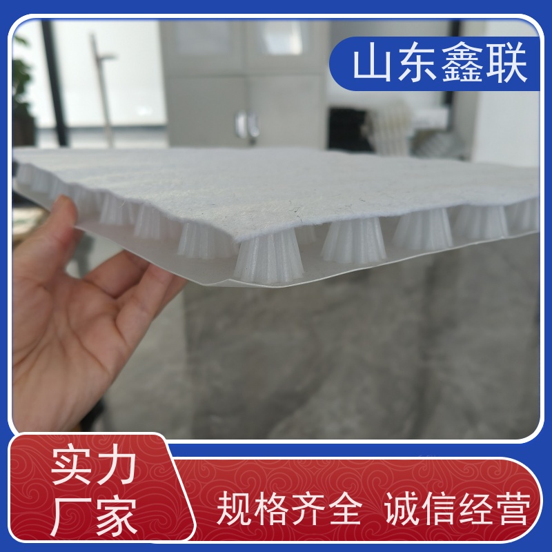 鑫联新材料 防护虹吸排水收集系统 设计院认可 15高板布一体疏水板
