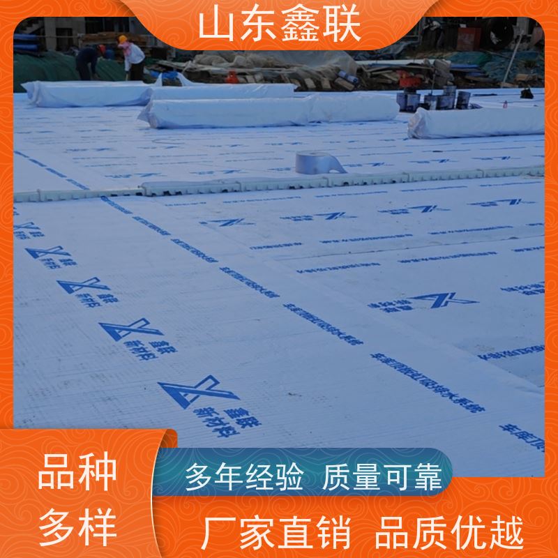 鑫联新材料 虹吸雨水排放系统 大厂实力批发 H30双面排蓄水异形片