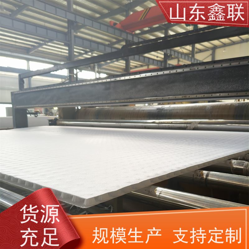 鑫联新材料 有序虹吸排水系统 设计院认可 H30双面排蓄水异形片