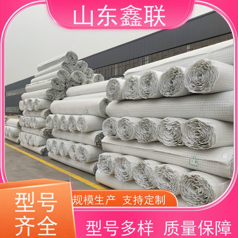 鑫联新材料 车库顶板虹吸排水系统 专注生产供应 15高板布一体疏水板
