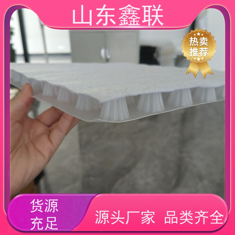 鑫联新材料 车库顶板虹吸排水 10年大厂品牌 H30双面排蓄水异形片