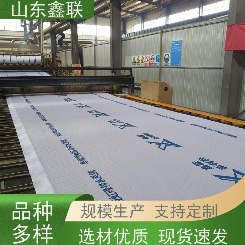 鑫联新材料 虹吸排水板施工 科研创新 20高分子异型片材