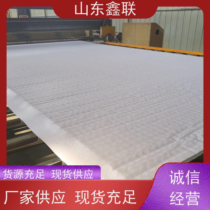 鑫联新材料 车库虹吸系统 大厂实力批发 H30双面排蓄水异形片