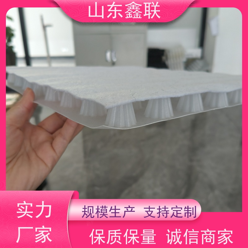 鑫联新材料 防护虹吸排水系统 国检认证品质 H30双面排蓄水异形片