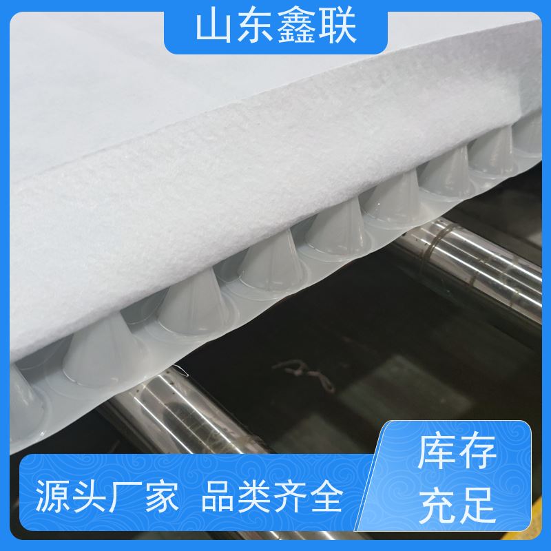 鑫联新材料 车库虹吸系统 厂家施工指导 H20高分子防排水保护异形片