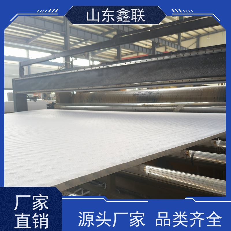 鑫联新材料 车库虹吸系统 设计院认可 H30双面排蓄水异形片