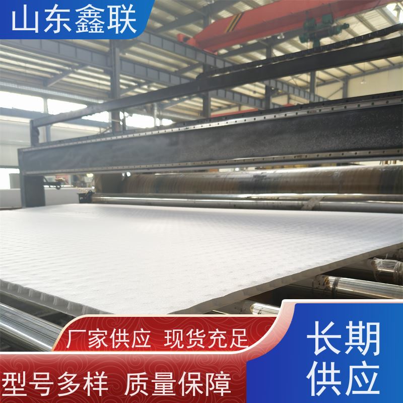 鑫联新材料 有序虹吸排水系统 专注生产供应 H30双面排蓄水异形片