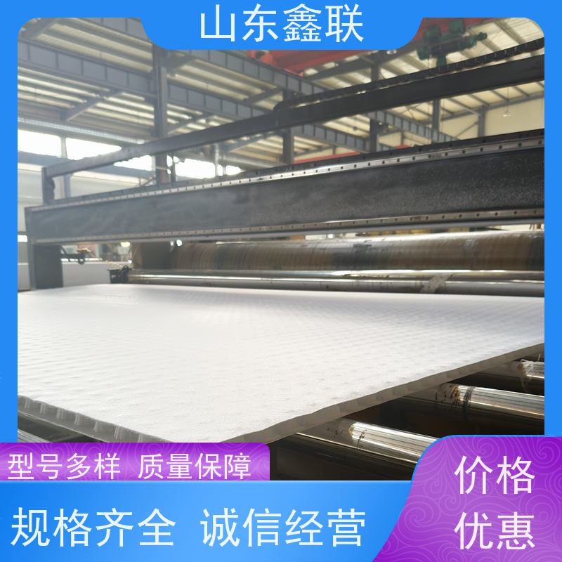 鑫联新材料 车库虹吸系统 10年大厂品牌 H30双面排蓄水异形片