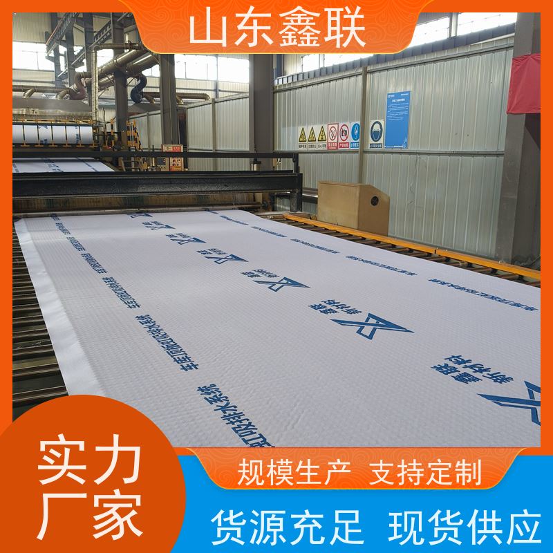 鑫联新材料 虹吸雨水排放系统 中国绿色建材 H25双面抗压排水异形片