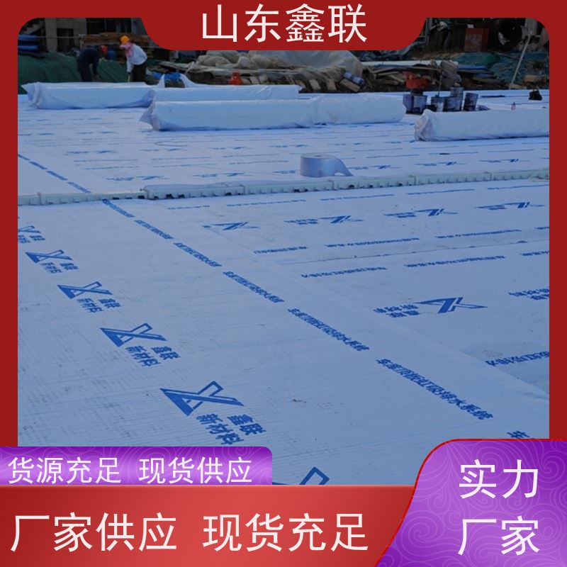 鑫联新材料 车库虹吸系统 专注生产供应 20高分子异型片材