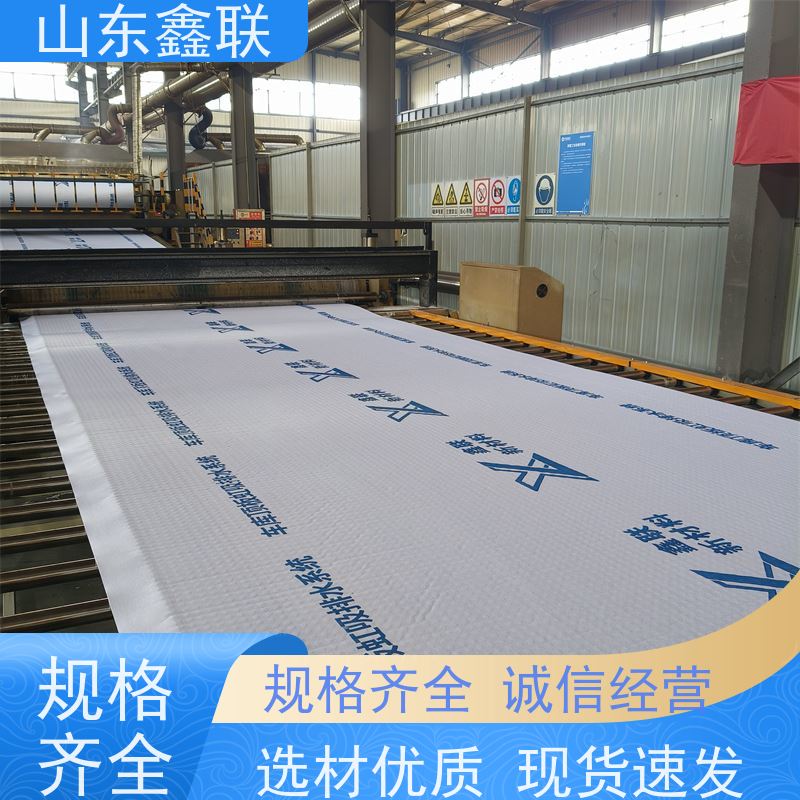 鑫联新材料 虹吸雨水排放系统 大厂实力批发 H25双面抗压排水异形片