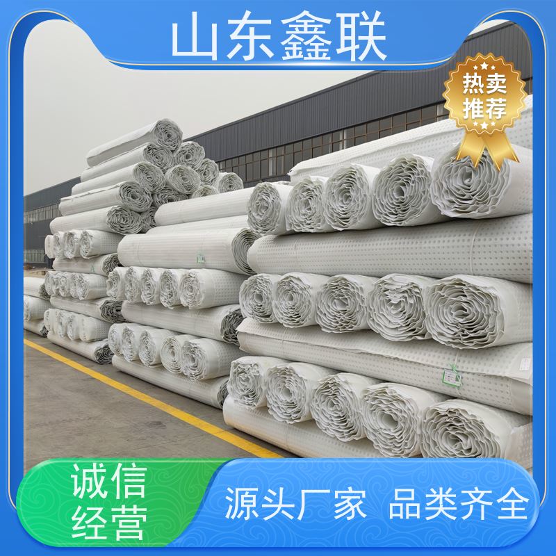 鑫联新材料 虹吸排水板施工 百亩面积厂商 H30双面排蓄水异形片