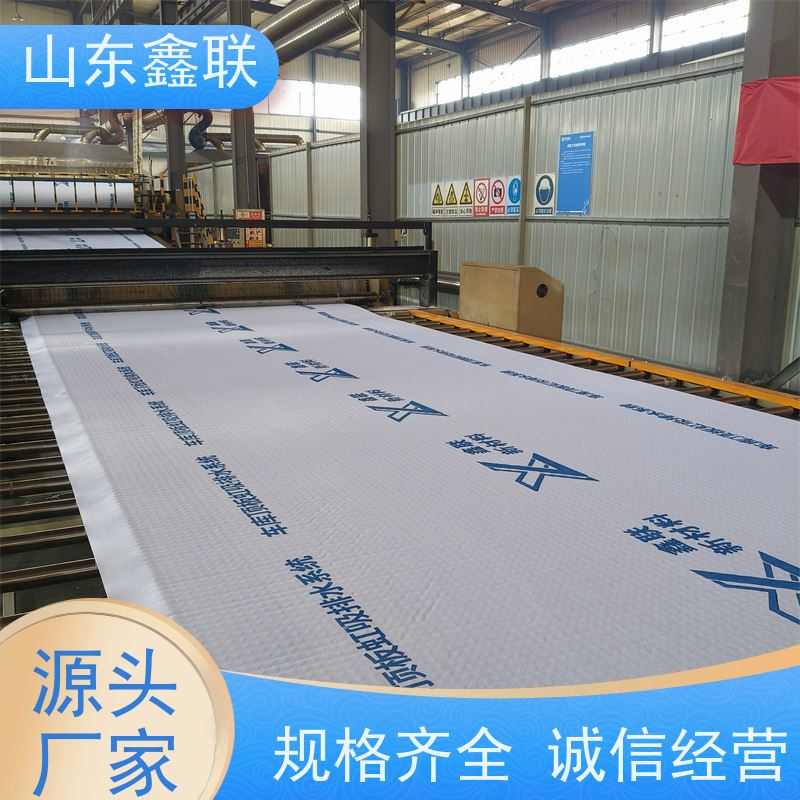 鑫联新材料 车库虹吸系统 厂家施工指导 PED15高分子防护排水异型片