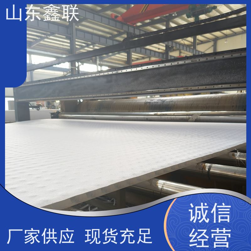 鑫联新材料 防护虹吸排水系统 厂家施工指导 20高分子异型片材