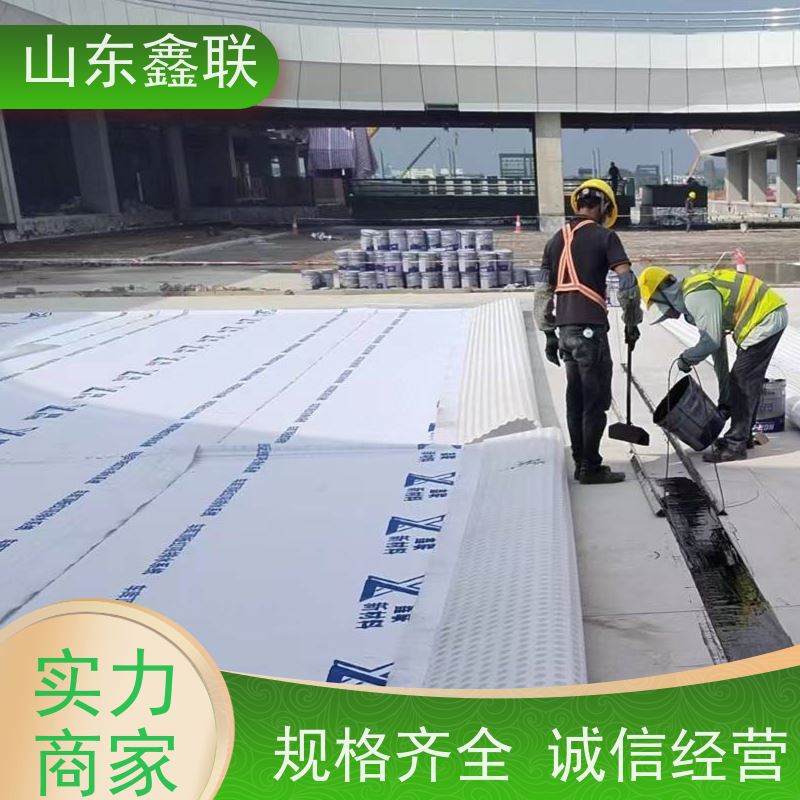 鑫联新材料 车库顶板虹吸排水 中国绿色建材 20高分子异型片材