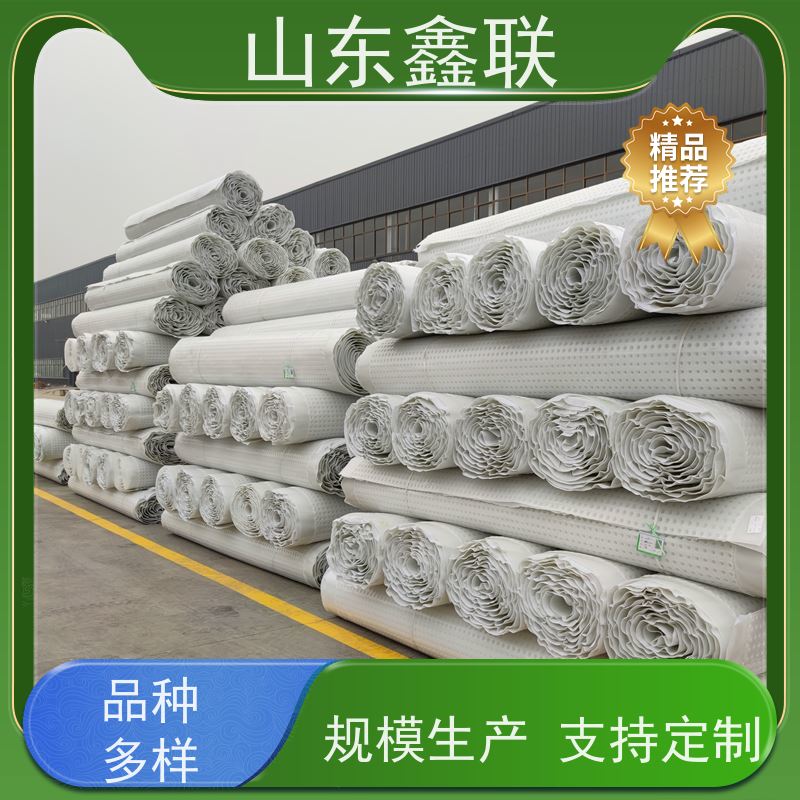 鑫联新材料 防护虹吸排水收集系统 厂家施工指导 20高分子异型片材