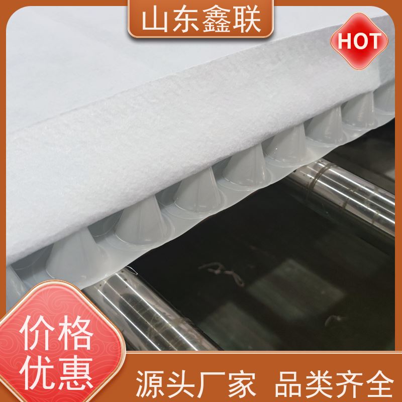 鑫联新材料 有序虹吸排水系统 百亩面积厂商 15高板布一体疏水板