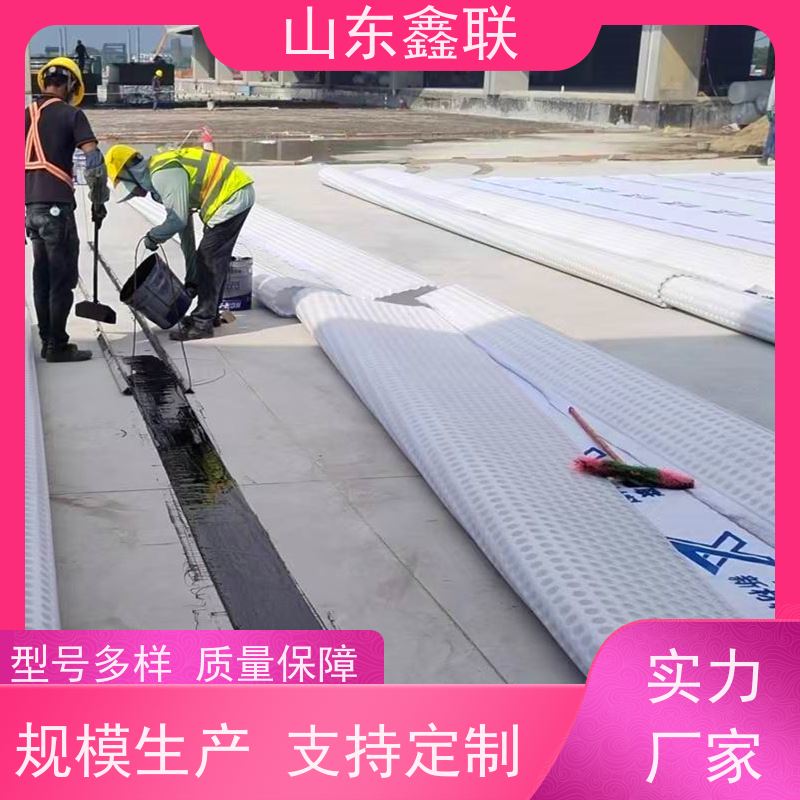 鑫联新材料 有序虹吸排水系统 百亩面积厂商 20高分子异型片材