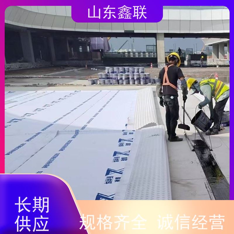 鑫联新材料 车库虹吸系统 专注生产供应 PED15高分子防护排水异型片