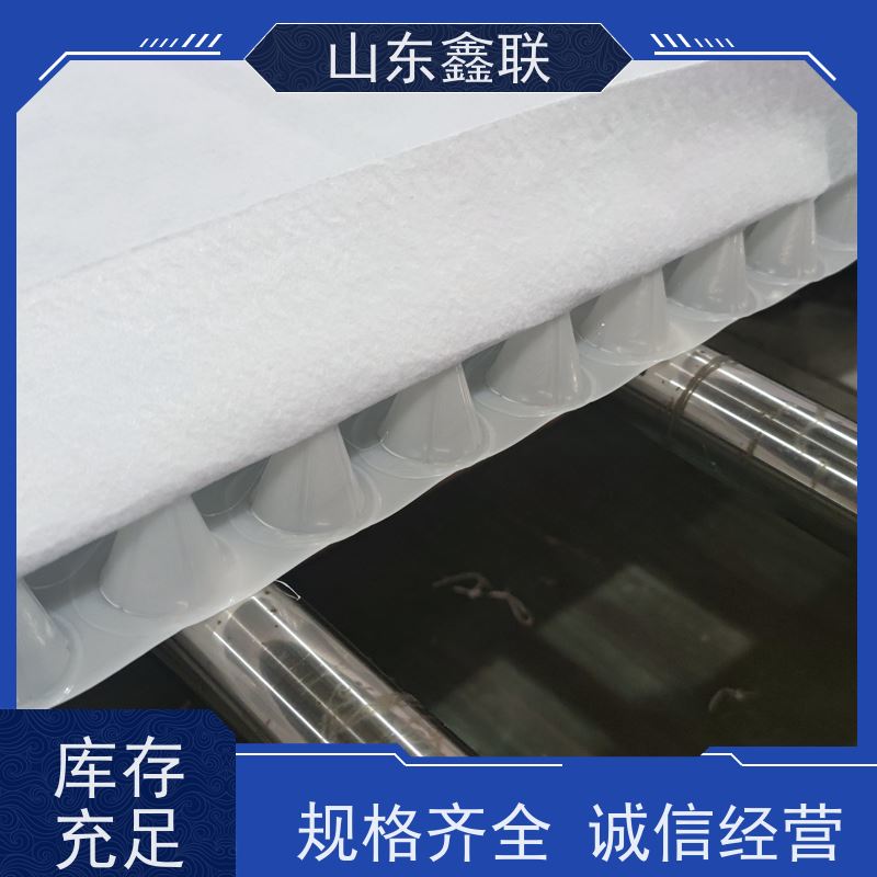 鑫联新材料 防护虹吸排水系统 屋顶花园绿化 20高分子异型片材