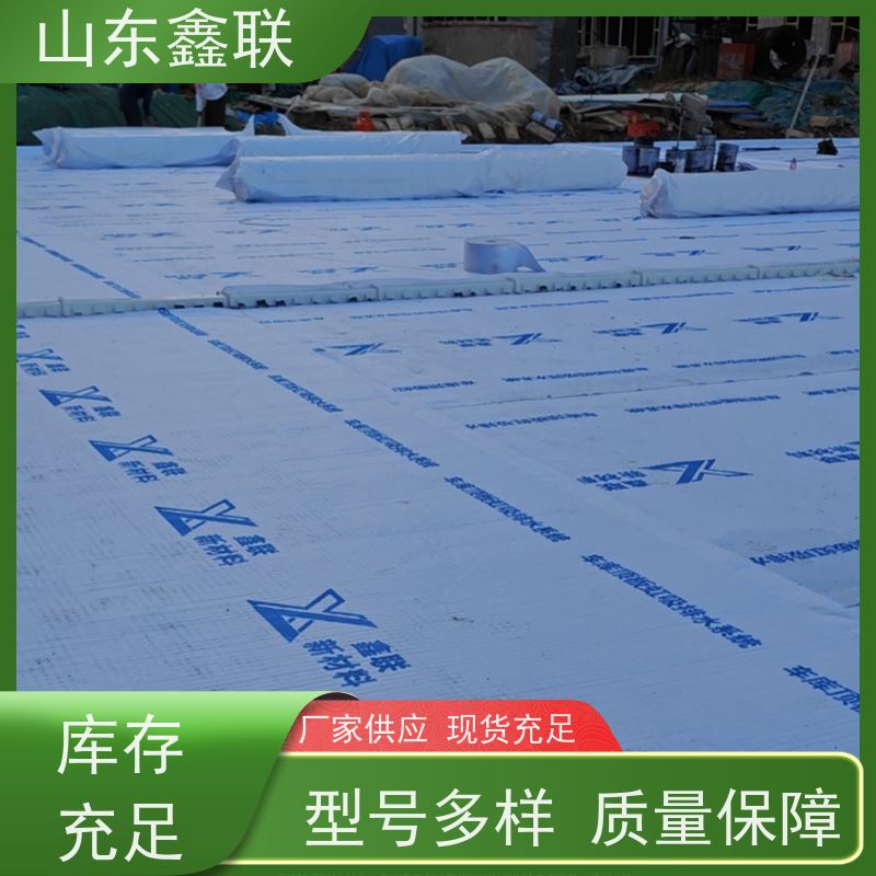 鑫联新材料 虹吸雨水排放系统 厂家施工指导 H30双面排蓄水异形片