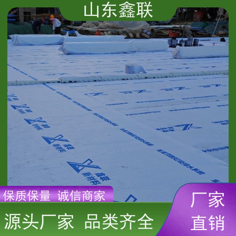 鑫联新材料 虹吸雨水排放系统 屋顶花园绿化 H25双面抗压排水异形片