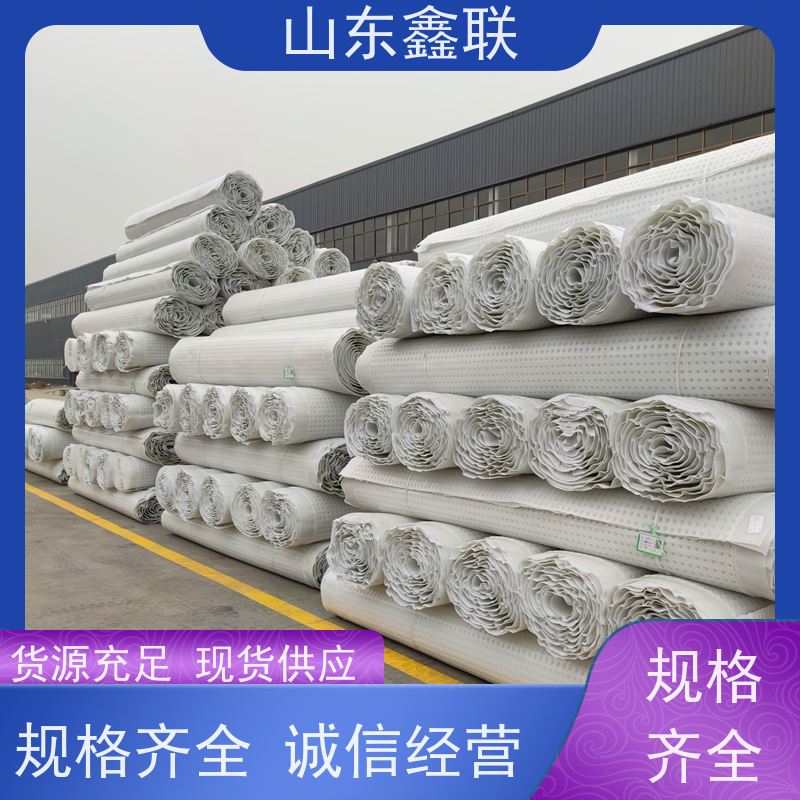 鑫联新材料 车库顶板虹吸排水 大厂实力批发 20高分子异型片材