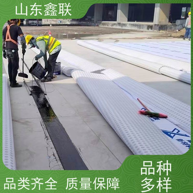 鑫联新材料 虹吸雨水排放系统 严选自营 H25双面抗压排水异形片