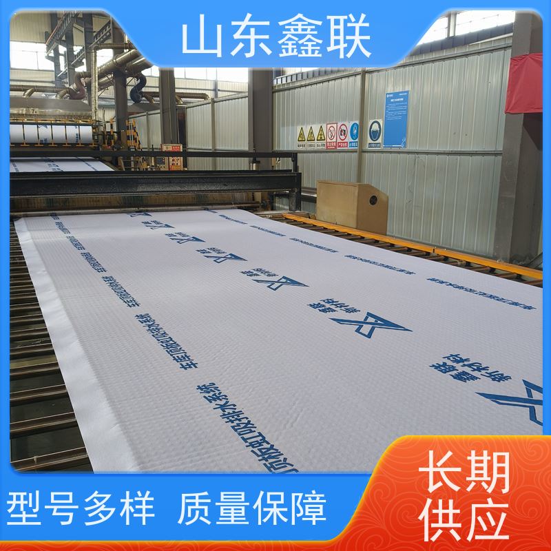 鑫联新材料 有序虹吸排水系统 厂家施工指导 15高板布一体疏水板