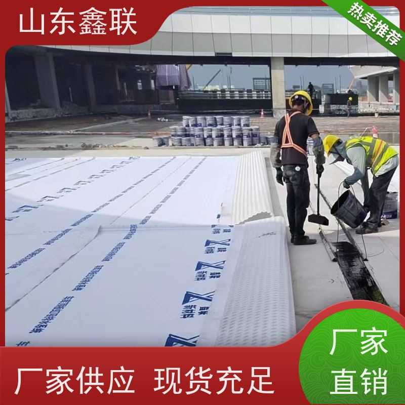鑫联新材料 虹吸雨水排放系统 专注生产供应 20高分子异型片材