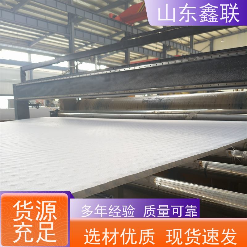 鑫联新材料 虹吸排水板施工 车库顶板专用 H30双面排蓄水异形片