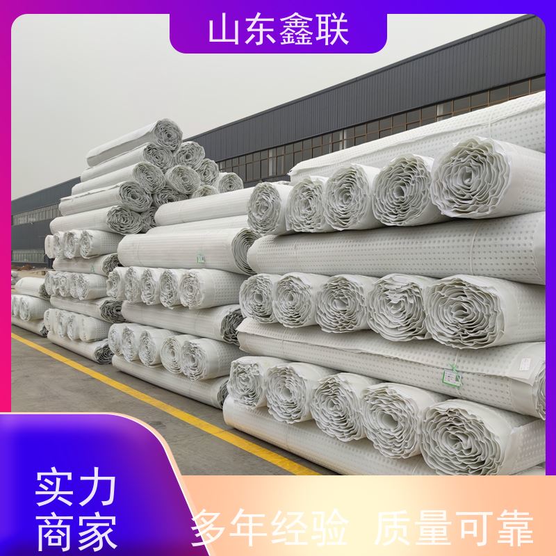 鑫联新材料 地下室种植顶板虹吸排水系统 严选自营 20高分子异型片材