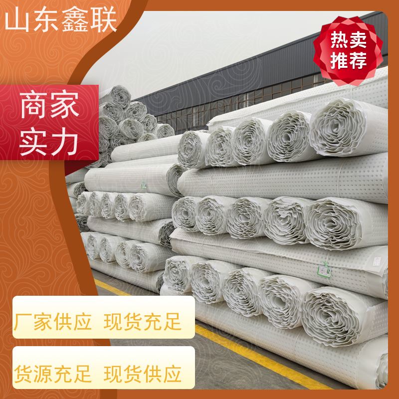 鑫联新材料 虹吸排水板施工 国检认证品质 H30双面排蓄水异形片