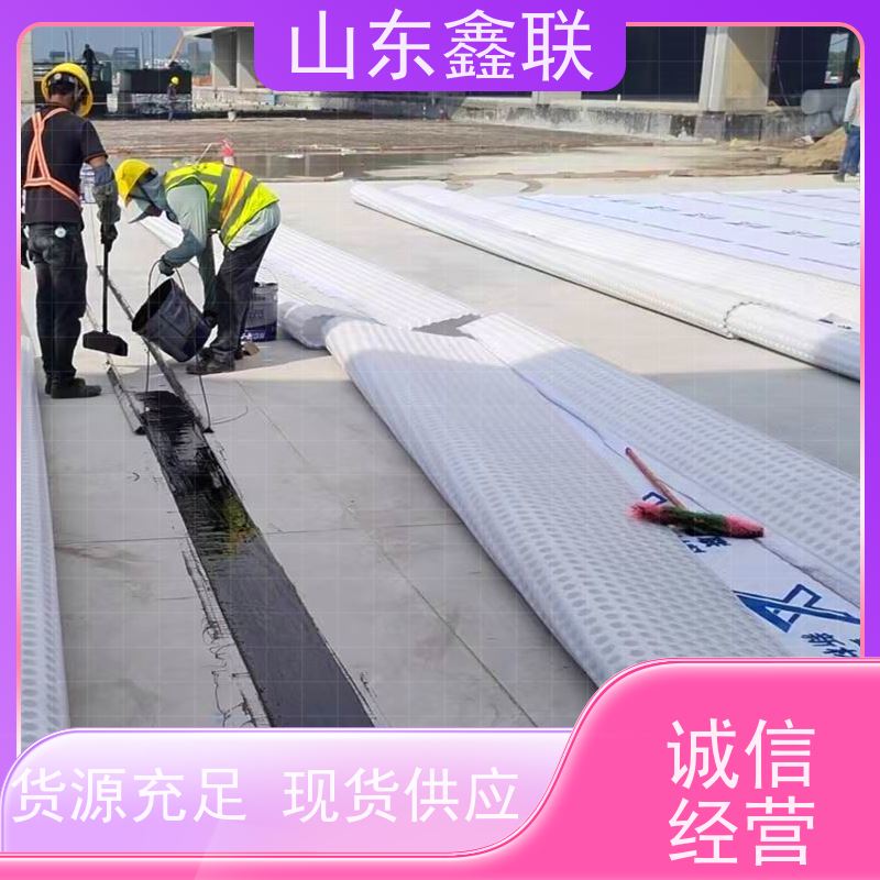 鑫联新材料 虹吸排水板施工 国检认证品质 20高分子异型片材