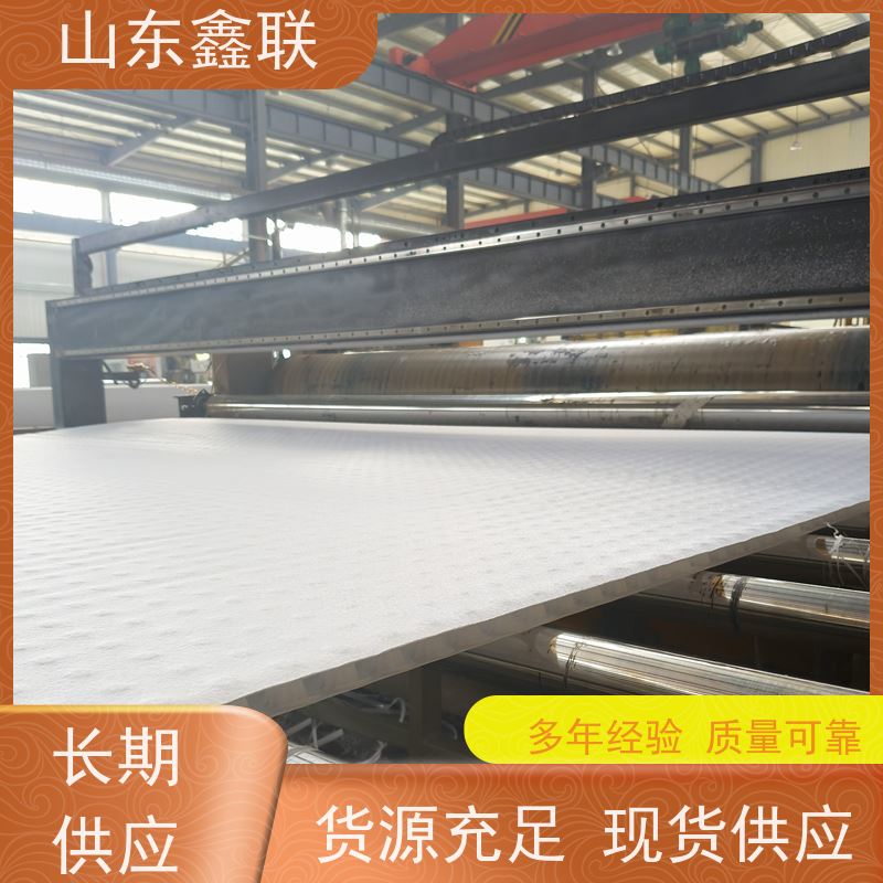 鑫联新材料 有序虹吸排水系统 百亩面积厂商 H30双面排蓄水异形片