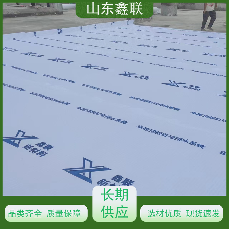鑫联新材料 有序虹吸排水系统 国检认证品质 H30双面排蓄水异形片