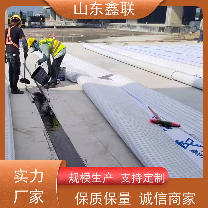 鑫联新材料 车库虹吸系统 大厂实力批发 H25双面抗压排水异形片