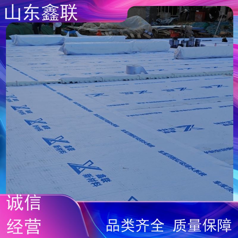 鑫联新材料 种植屋面虹吸排水系统 专注生产供应 20高分子异型片材
