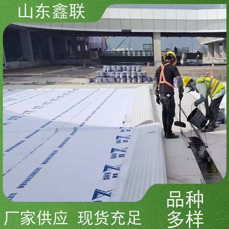 鑫联新材料 防护虹吸排水系统 国检认证品质 15高板布一体疏水板