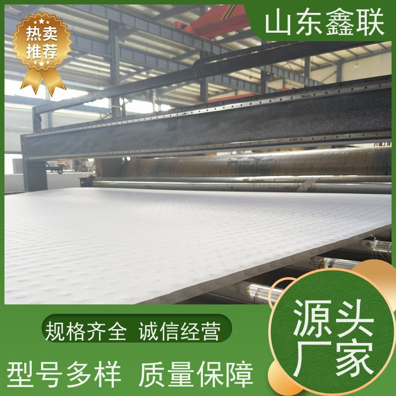 鑫联新材料 种植屋面虹吸排水系统 大厂实力批发 20高分子异型片材